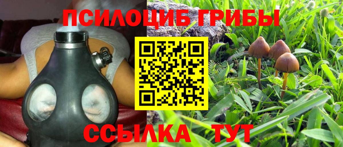 Кимовск  Галлюциногенные грибы GOLDEN TEACHER  Псилоцибиновые грибы Psilocybine cubensis  Вход с VPN 