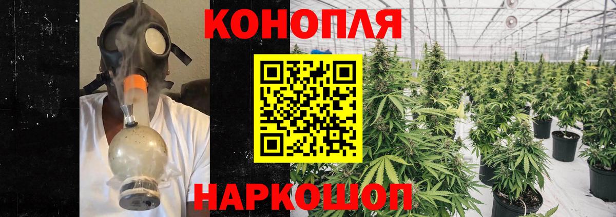 Канабис план  Вход с VPN  Кимовск  Каннабис сатива  Бошки марихуана тримм 